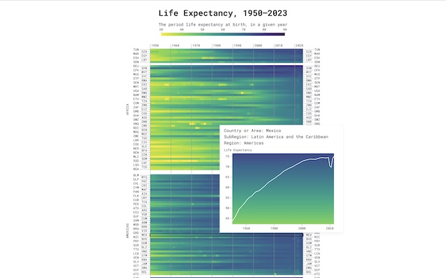 Life Expectancy Heatmap